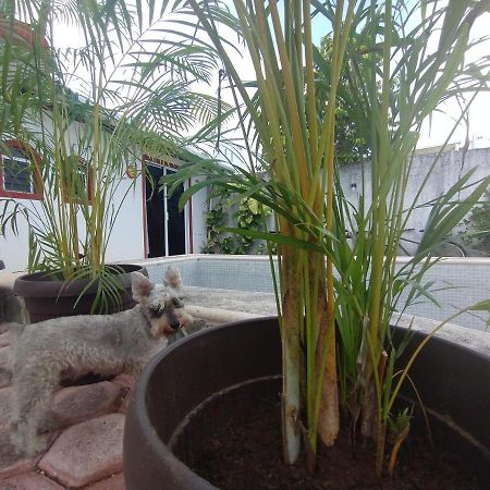 Jardin Secreto Apartment Playa del Carmen Exterior photo